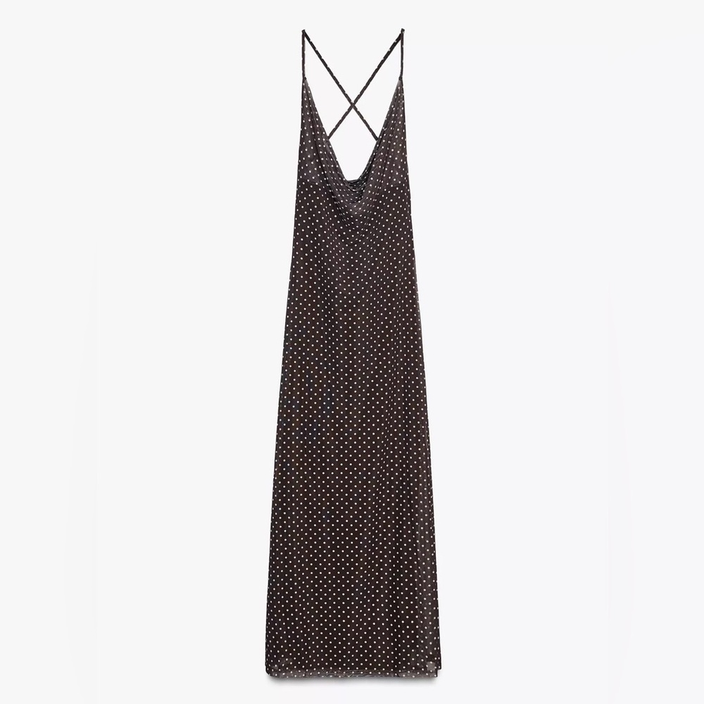 Zara Polka Dot Dress